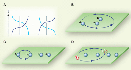 Anyonic Quantum Statistics