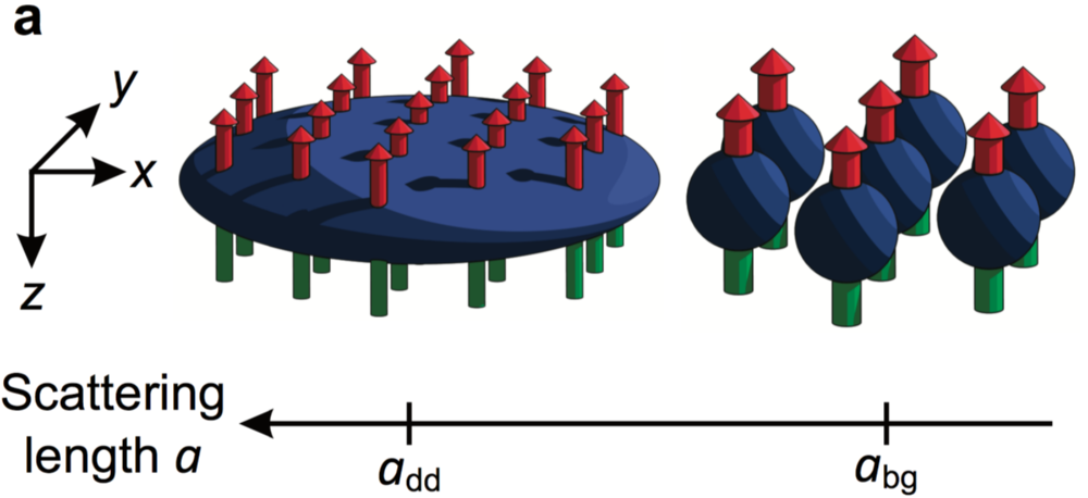 Quantum Droplets